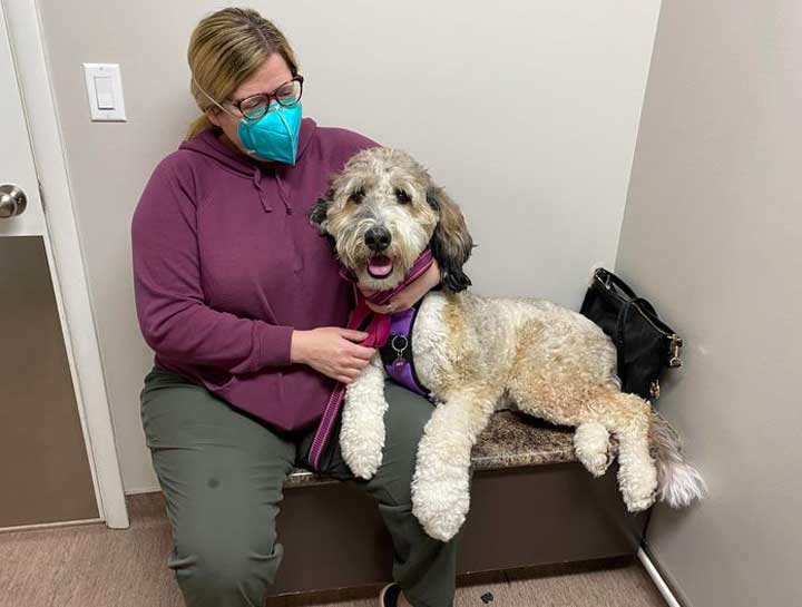 Preventive Care for Dogs